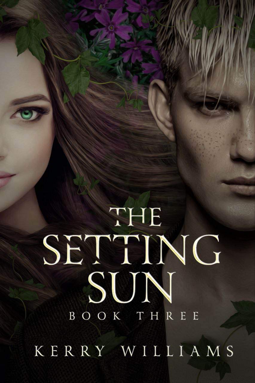 The Setting Sun Book Cover
